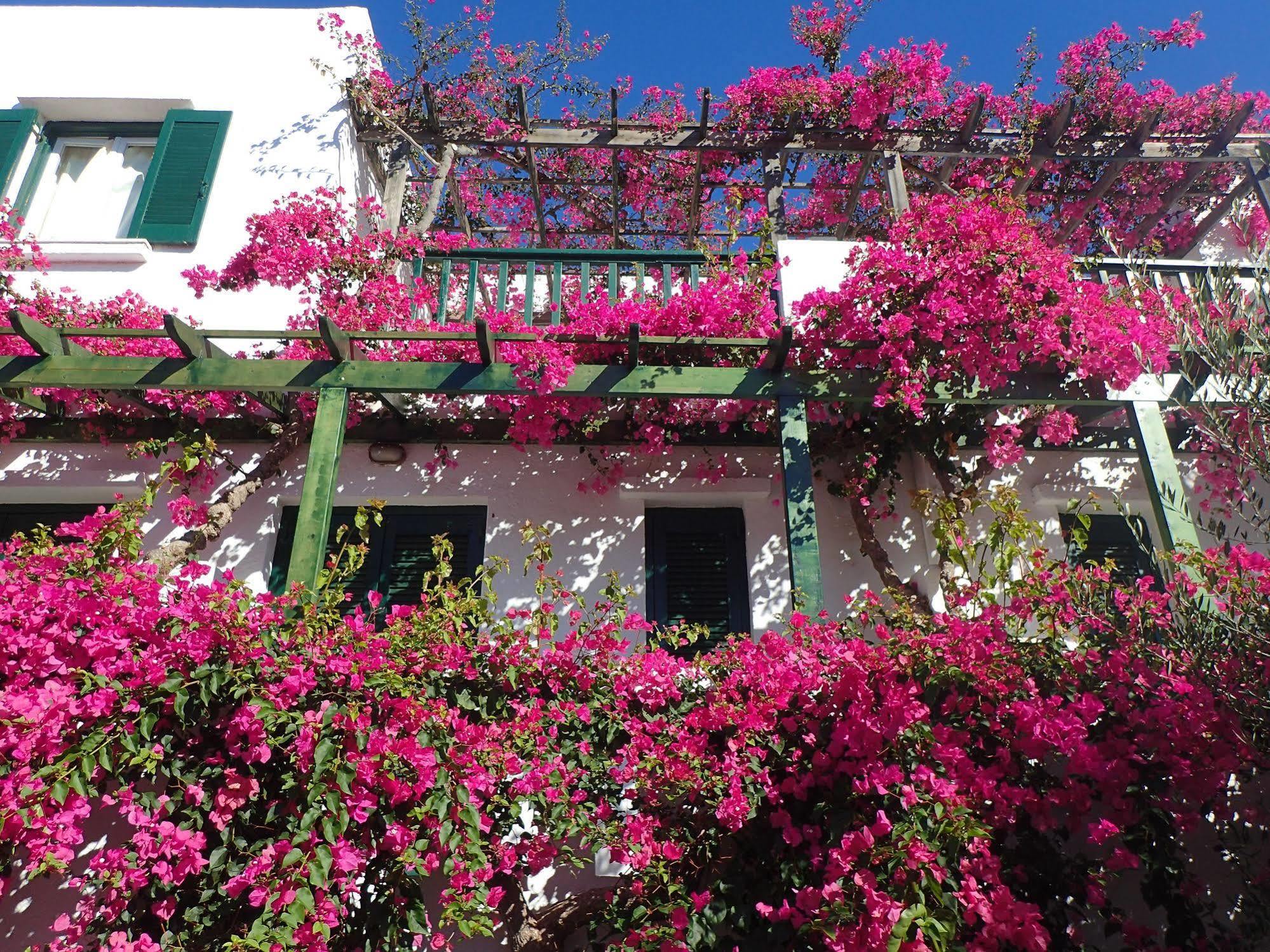Villea Village Makrýgialos Buitenkant foto